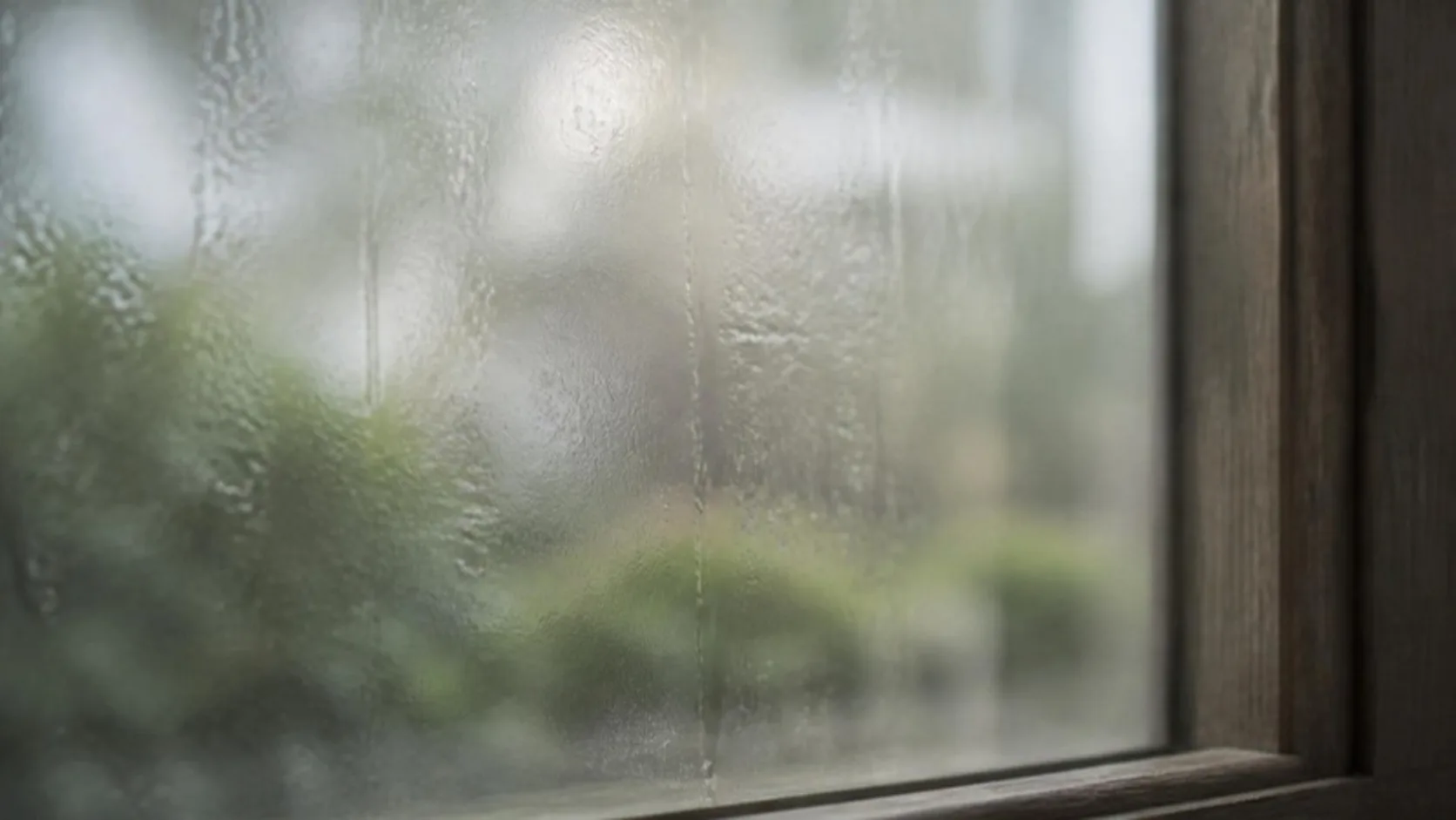 a window pane with fine condensation, soft diffuse daylight and muted colours behind it
